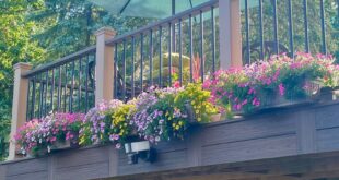 deck planters