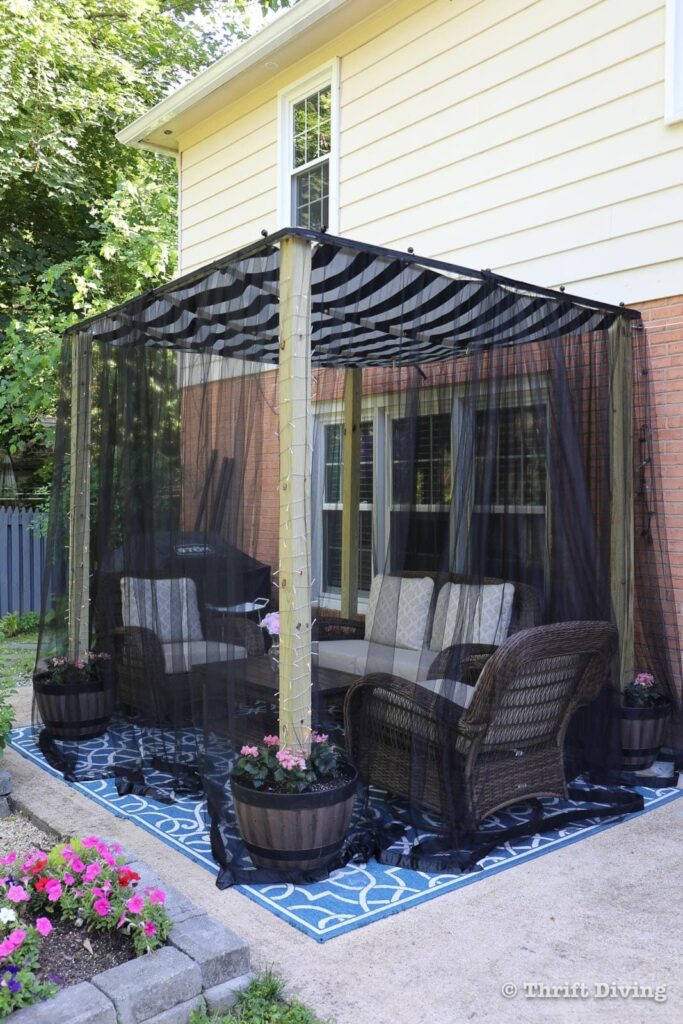 backyard canopy