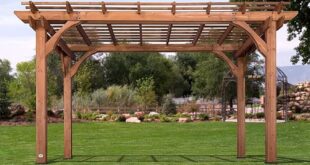 cedar pergola