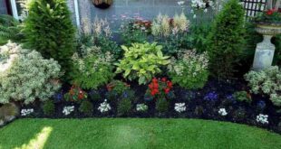 front yard landscaping ideas