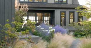 landscaping with ornamental grasses