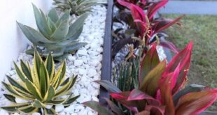 flower beds in front of house with rocks