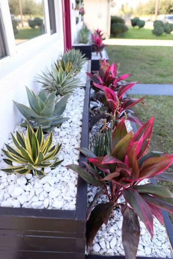 flower beds in front of house with rocks