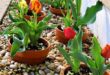 flower beds in front of house with rocks