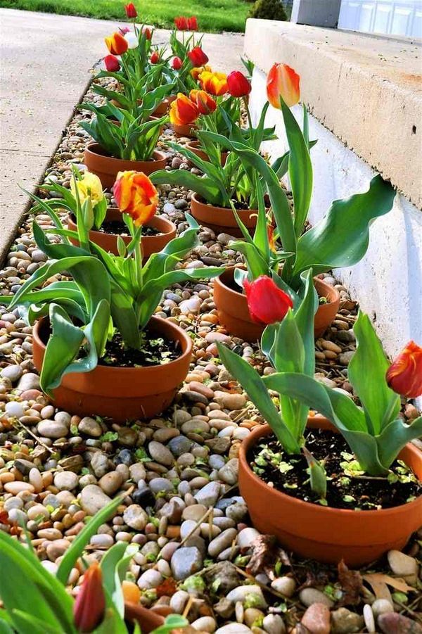 Enhancing Curb Appeal: Stone-Edged Flower Beds for Your Front Yard