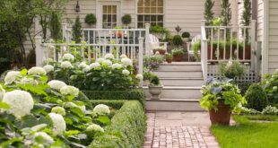 landscaping near house