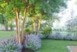 landscaping in front of porch