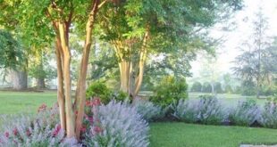 landscaping in front of porch