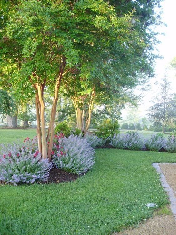 Enhancing Curb Appeal: Tips for Landscaping in Front of Your Porch