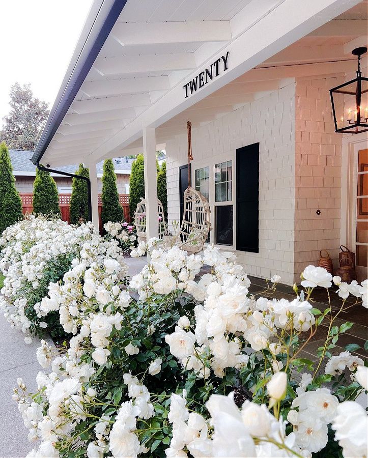 landscaping front of house