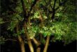 landscape lighting design