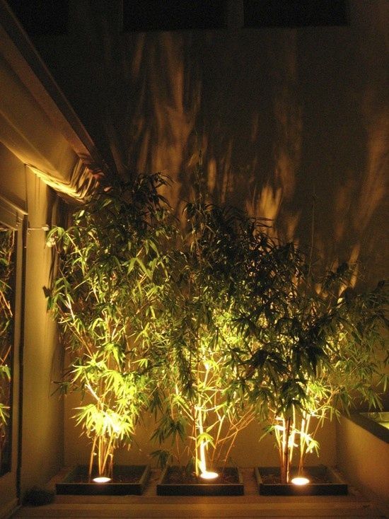 Enhancing Outdoor Spaces with Beautiful Illumination