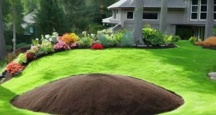 landscaping mounds