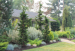 front yard privacy landscaping