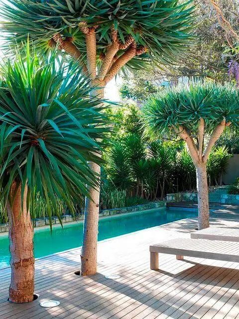 Enhancing Your Backyard Oasis with Lush Tropical Pool Landscaping