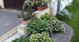 flower beds in front of house with rocks