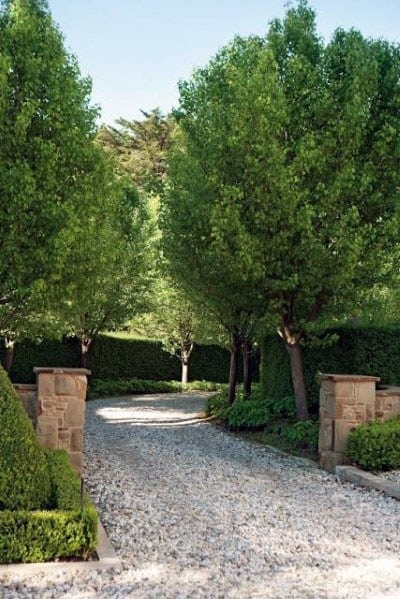 landscaping driveway