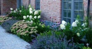 landscaping front of house