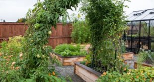 raised flower beds in front of house