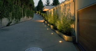 landscaping driveway