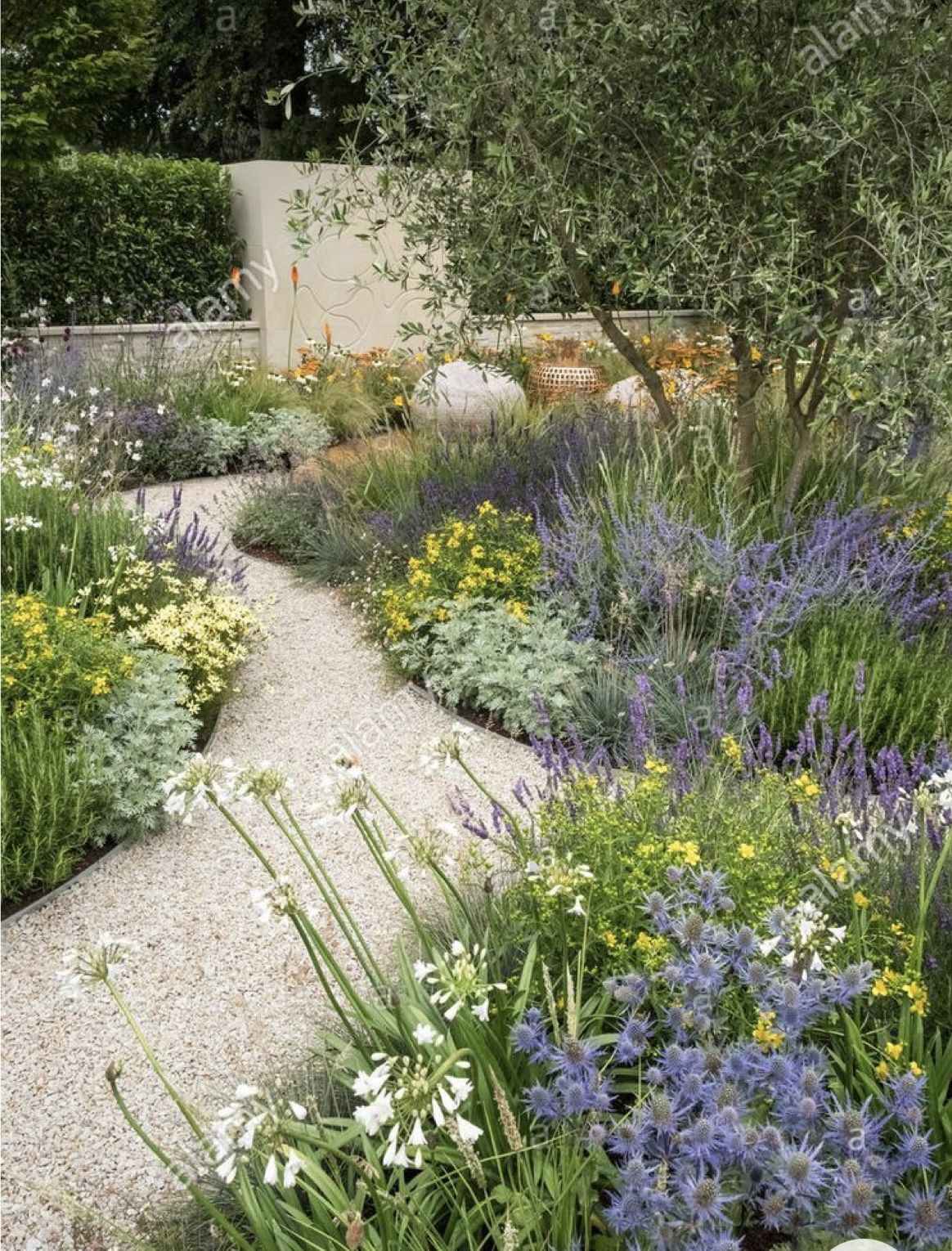 Enhancing Your Front Lawn: Creative Landscape Ideas to Beautify Your Outdoor Space