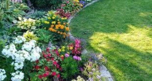 landscaping in front of porch