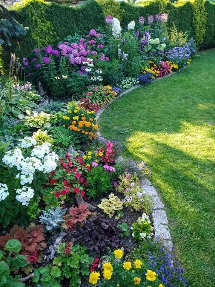 landscaping in front of porch