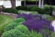 landscaping ideas for front yard