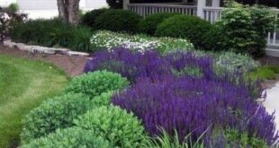 landscaping ideas for front yard