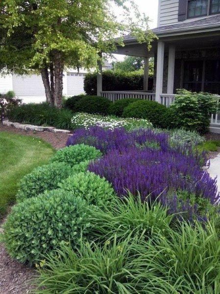 The Beauty and Functionality of Front Yards