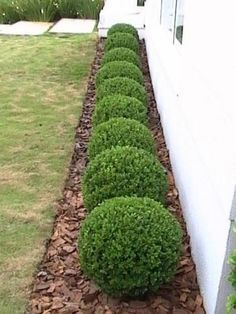 front lawn landscape ideas