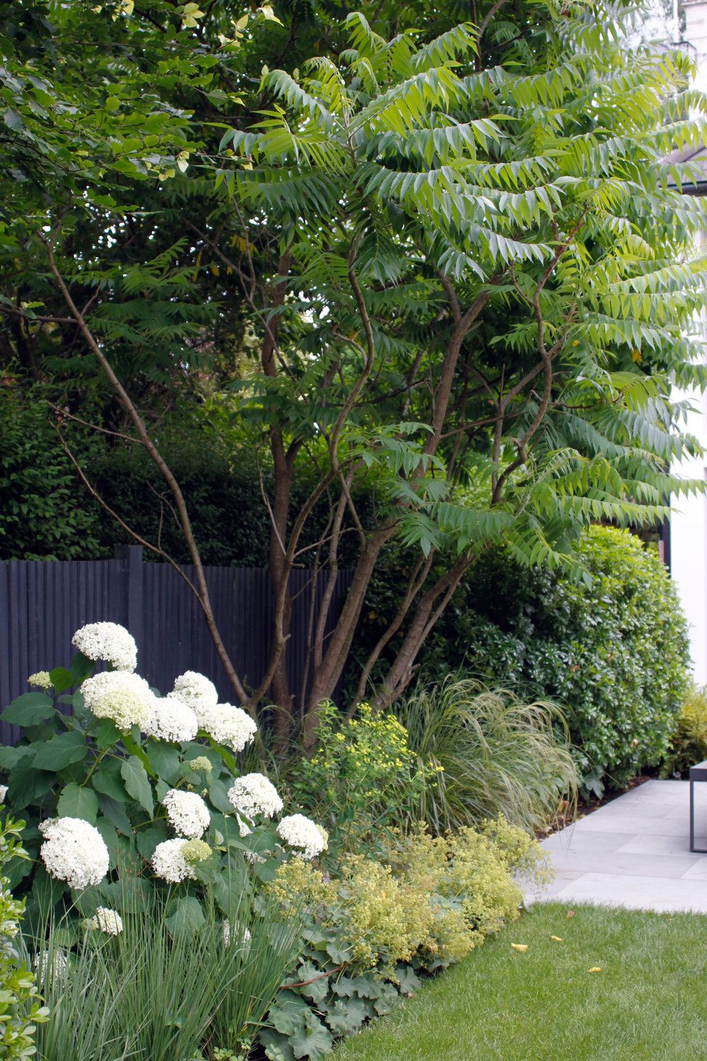 Enhancing Your Garden Oasis with Beautifully Designed Trees