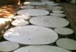 concrete stepping stones