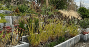 garden border edging