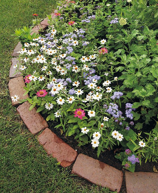 Enhancing Your Garden with Beautiful Border Edging