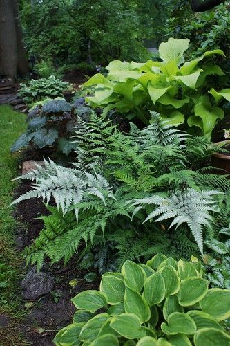 Enhancing Your Garden with Beautiful Borders