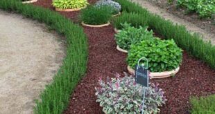 garden design edging