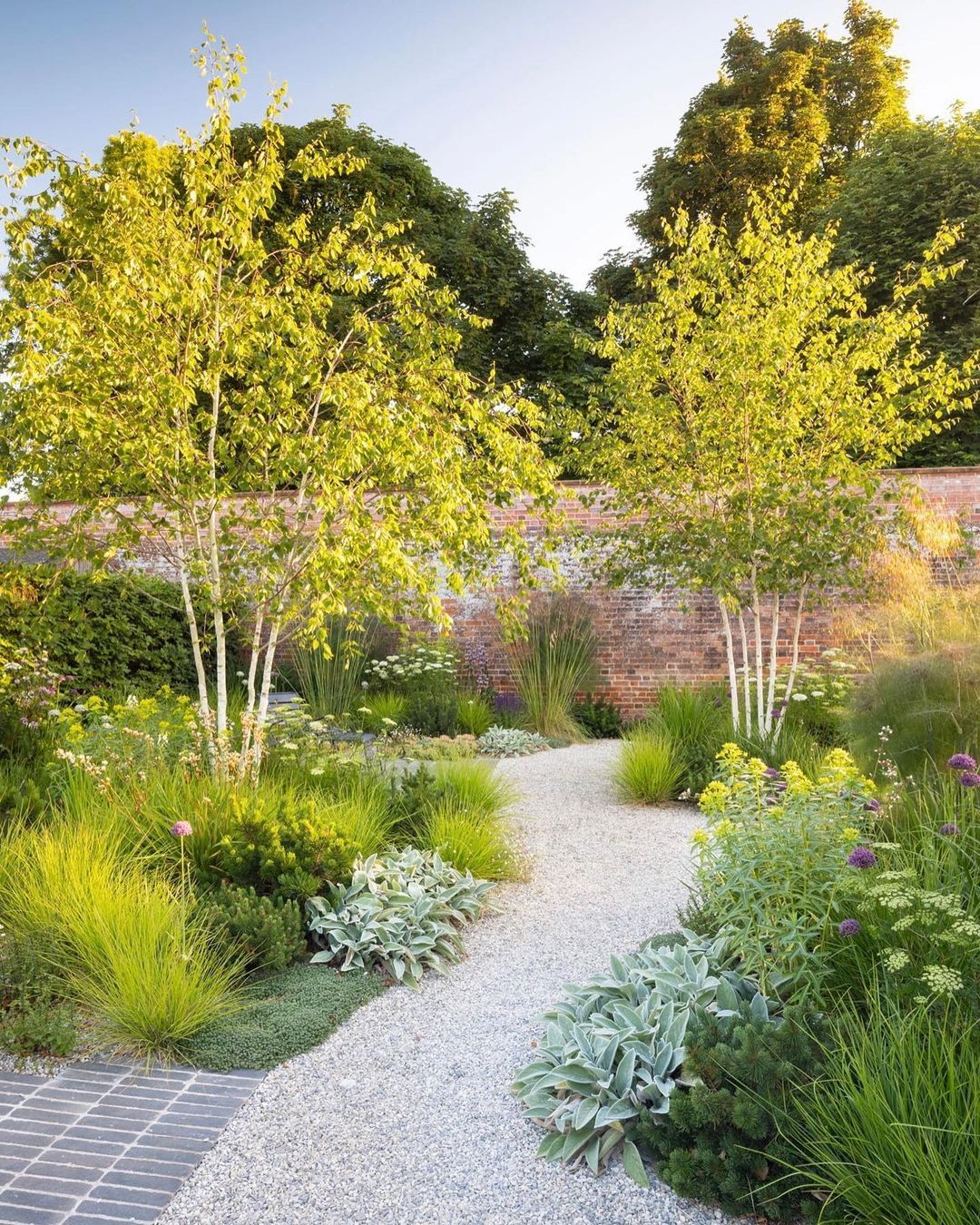 Enhancing Your Garden with a Variety of Trees