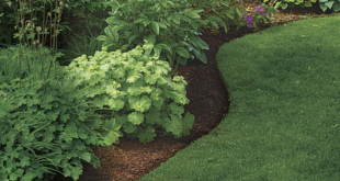 garden design edging