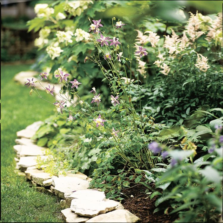 landscaping edging