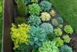 garden design edging