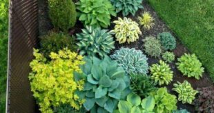 garden design edging