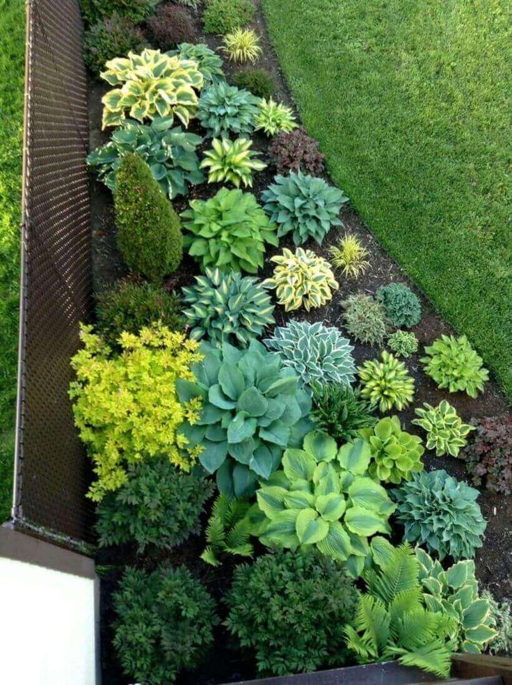 Enhancing Your Garden’s Look with Stylish Edging