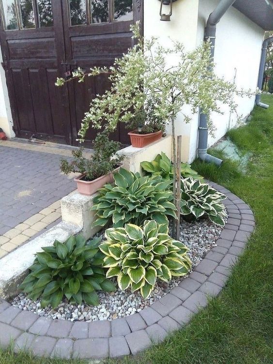 Enhancing Your Home’s Curb Appeal: Landscaping the Front of Your House