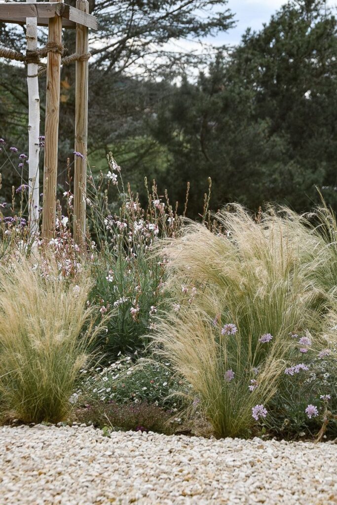 landscaping near house