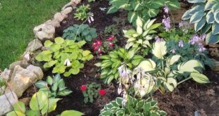 flower beds in front of house with rocks