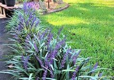 landscaping front of house