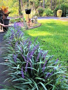 landscaping front of house