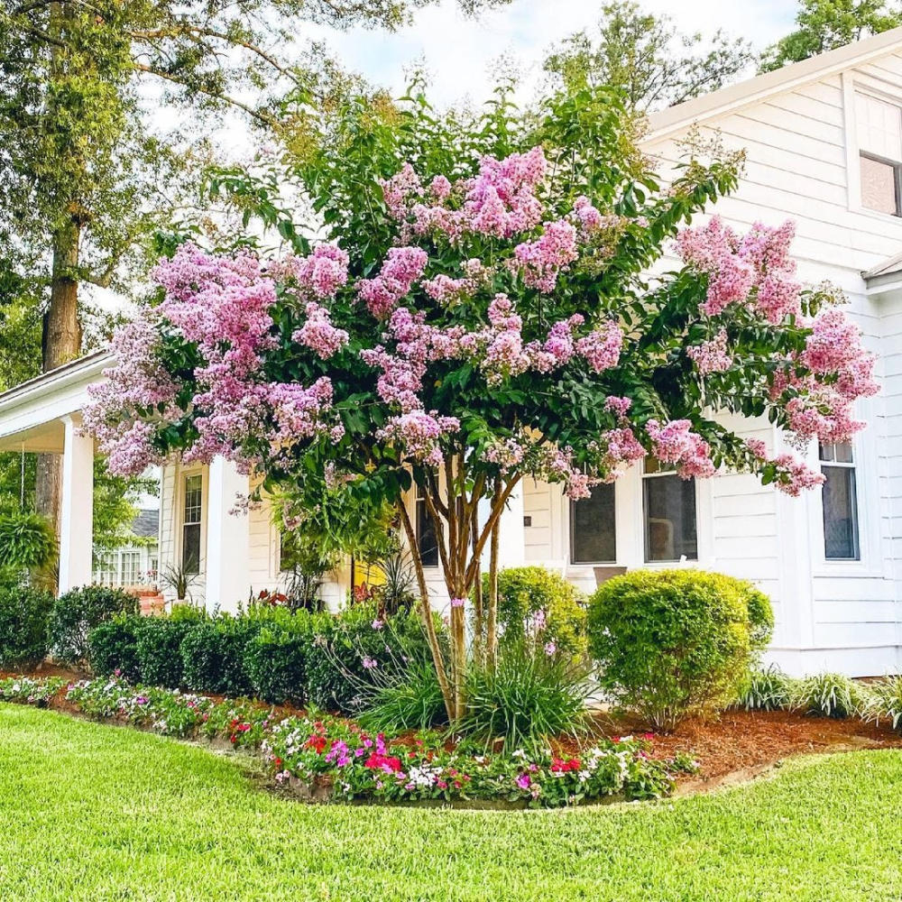 landscaping near house