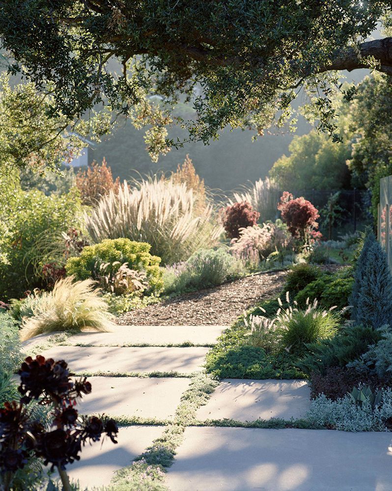 Enhancing Your Home’s Curb Appeal with a Beautiful Front Yard